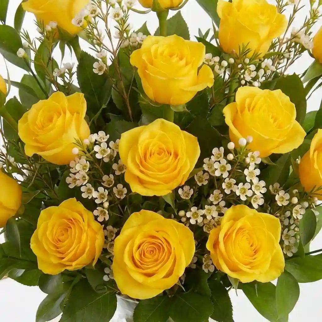 Yellow Roses