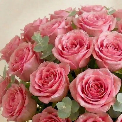 24 Blush HatBox