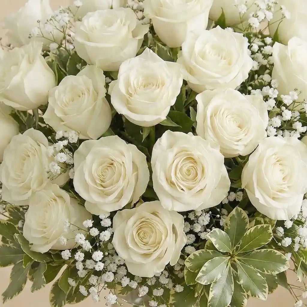 24 White Roses