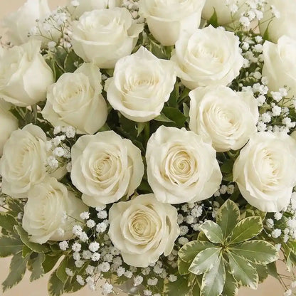 24 White Roses