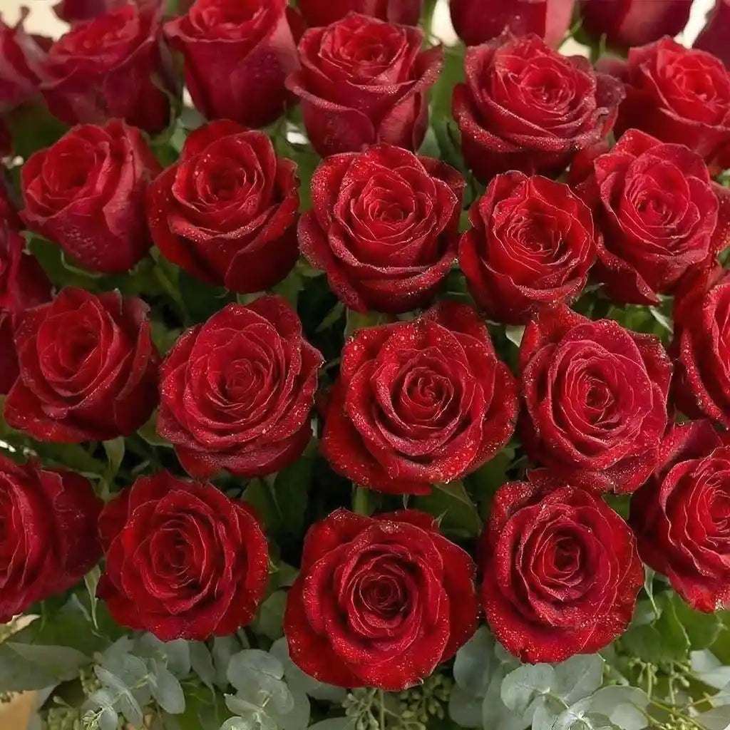 50 Red Roses