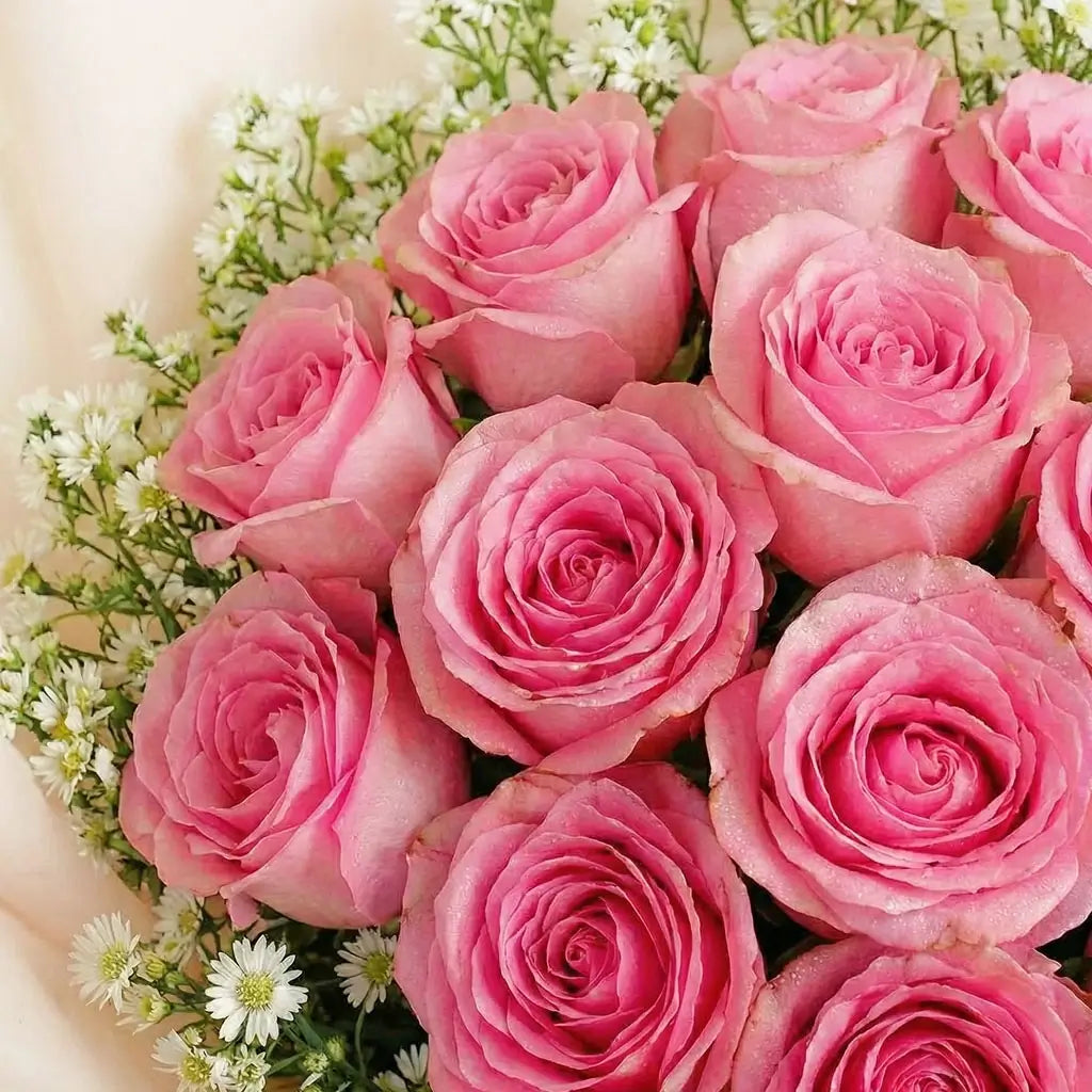 Blush Serenity