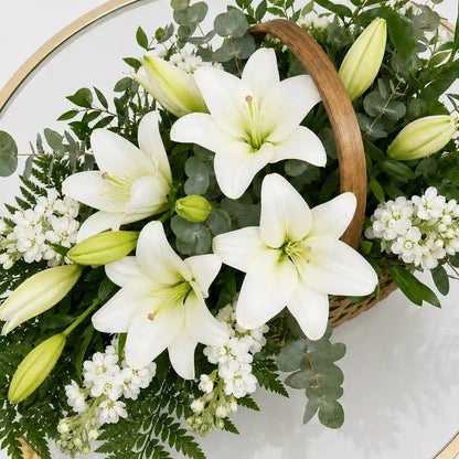 Lily Cascade